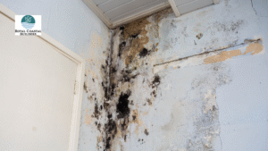 emergency restoration services